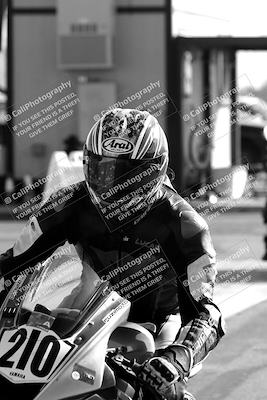 media/May-26-2024-TrackXperience (Sun) [[9b53715927]]/1-Around the Pits/